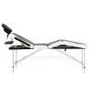 4-Zone Foldable Massage Table Aluminum Black and White